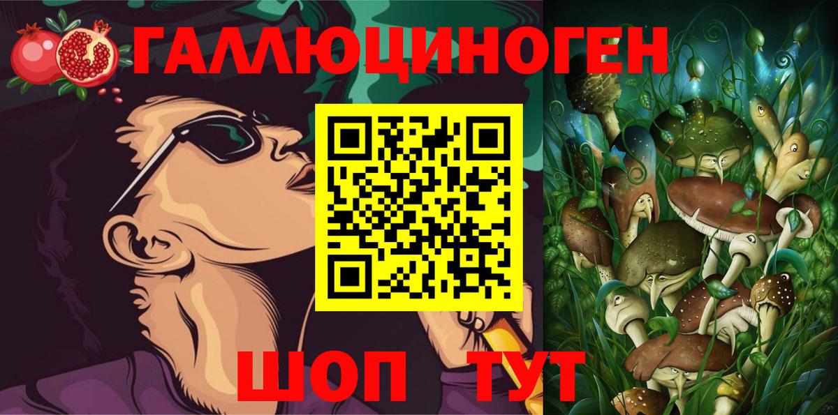 Галлюциногенные грибы Psilocybe Россия
