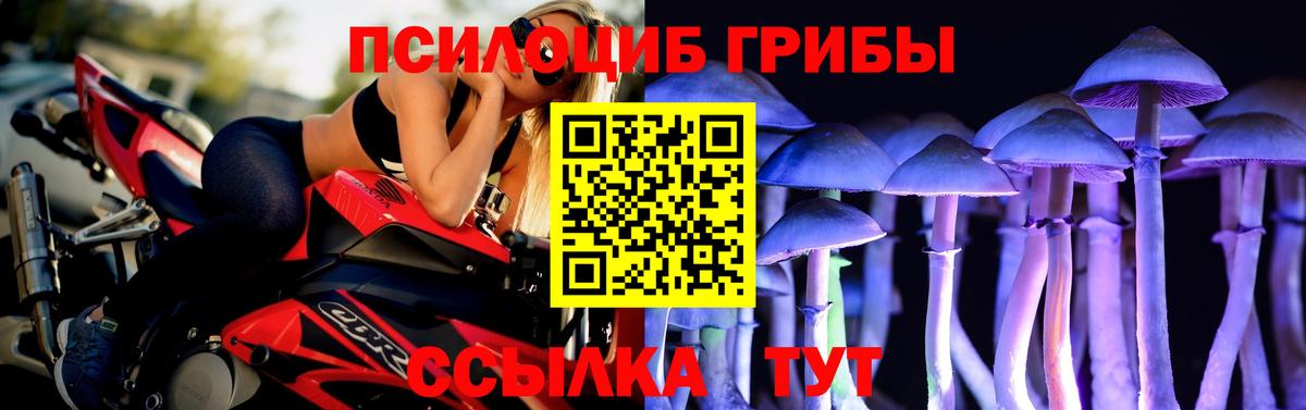 Галлюциногенные грибы Psilocybine cubensis  Вход с VPN  Россия 